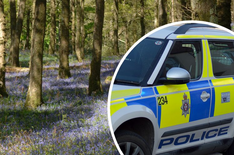 Woman in 60s punched in violent robbery whilst walking in Marlborough woods