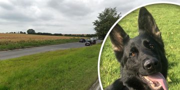 Suspected illegal immigrants arrested after they’re spotted running from lorry