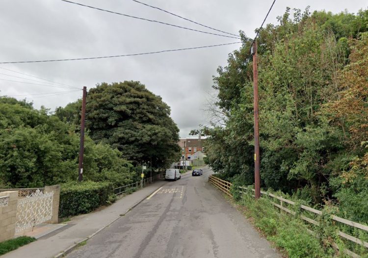 ‘Very tall, ginger’ pervert exposed himself to woman in Chippenham woods