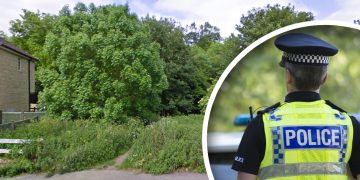 Chippenham flasher was armed with knife during woodland incident, victim says
