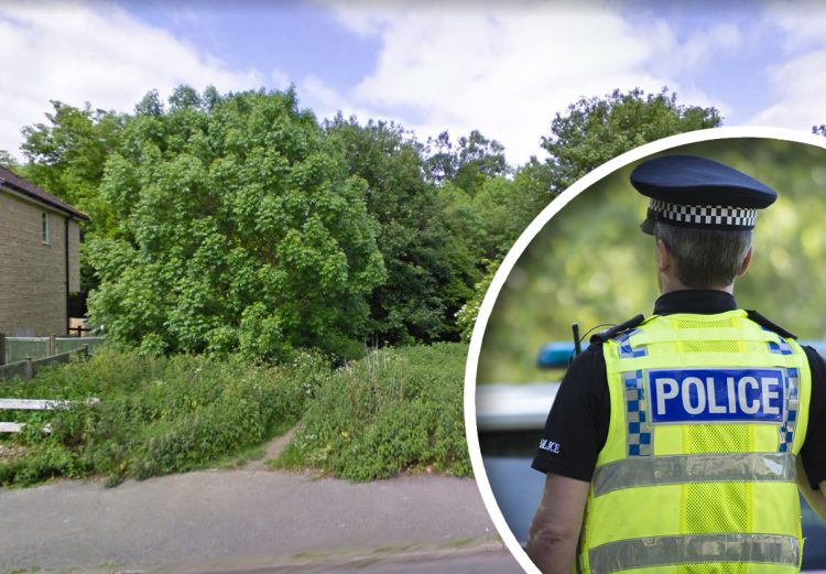 Chippenham flasher was armed with knife during woodland incident, victim says