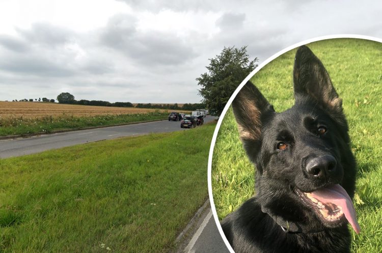 Suspected illegal immigrants arrested after they’re spotted running from lorry