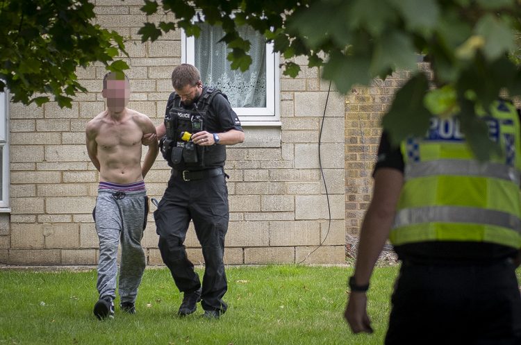 Suspect in ‘crack den’ arson attack detained fleeing the scene by police dog