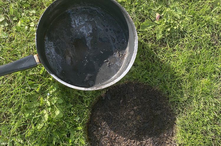Elderly woman treated for smoke inhalation after fire in Bradford on Avon
