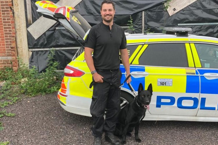 Four Wiltshire police officers assaulted during early morning arrest in Swindon