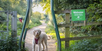 Dog reportedly dies moments after consuming item at woodland in Swindon
