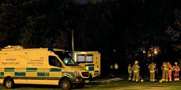 Woman who climbed tree in distress taken to place of safety after three hours