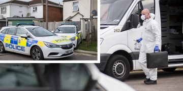 Two cannabis factories discovered in Swindon within 48 hour period