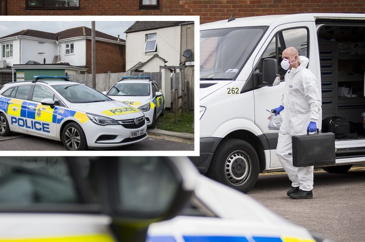 Two cannabis factories discovered in Swindon within 48 hour period