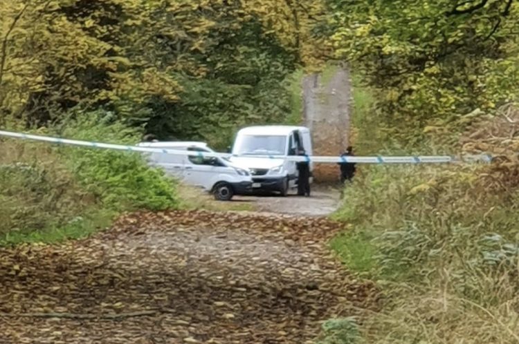 Crime scene at Savernake Forest after woman seriously sexually assaulted