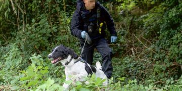 Police dog searches bushes after teenage girl suffers facial injuries in assault