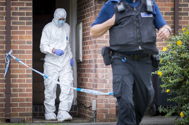 Forensics continue work inside Swindon flat as murder investigation launched