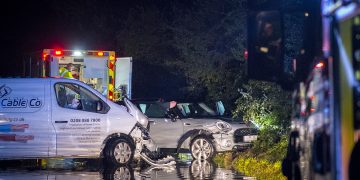 Police dog searches fields as driver flees scene of crash in flood near Swindon