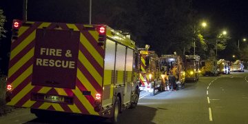 Emergency services working to rescue person from tree in mental health incident
