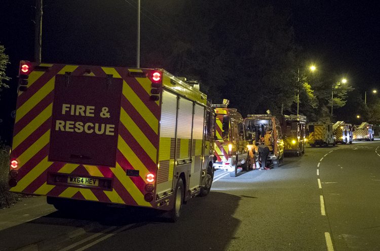 Emergency services working to rescue person from tree in mental health incident