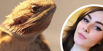 Vets had to put bearded dragon to sleep after mother-of-one failed to feed it