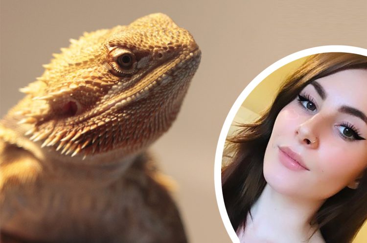 Vets had to put bearded dragon to sleep after mother-of-one failed to feed it