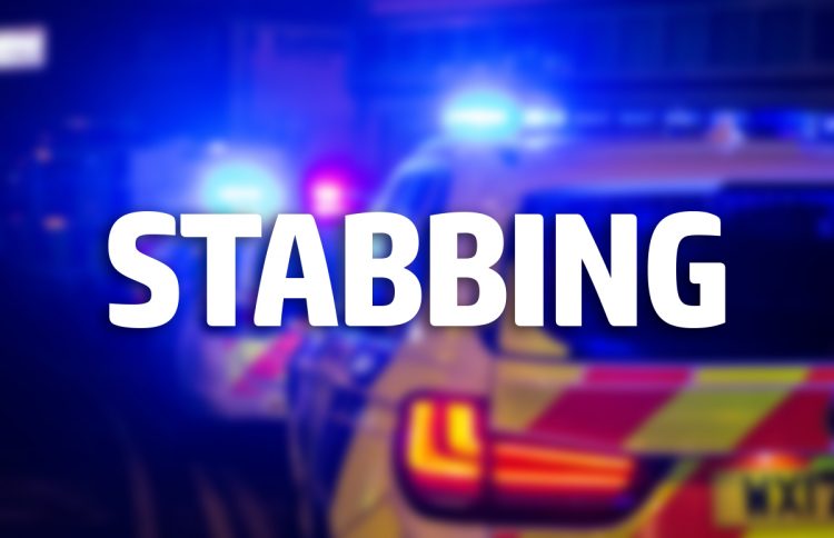 Men sustain puncture wounds after being stabbed with carving fork in Melksham