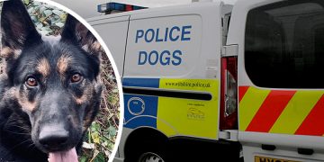 “Well done Boo”: Handler praises dog for finding man who overdosed in undergrowth