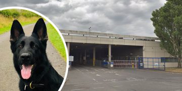 Police dog detained man who threatened distribution centre staff with a knife