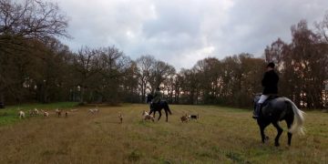 Billionaire owner of H&M bans hunting on estate over fox hunting allegations
