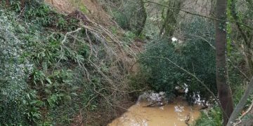 Fire and rescue service warns of countryside walk dangers after landslip near Calne