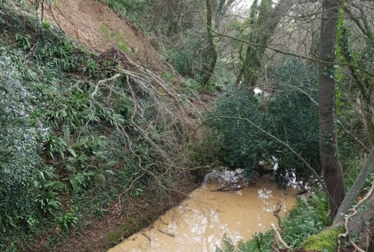 Fire and rescue service warns of countryside walk dangers after landslip near Calne