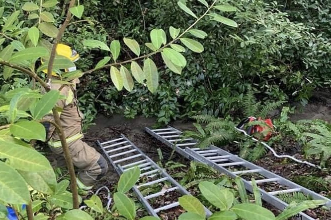 Air ambulance and fire crews involved in rescue of casualty from stream in Erlestoke forest