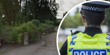 Wiltshire Police launch investigation after woman injured in Swindon dog attack