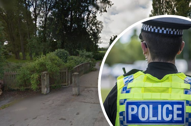 Wiltshire Police launch investigation after woman injured in Swindon dog attack