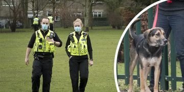 Chippenham dog attack: Several people including children injured in park incident