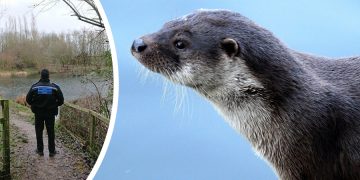 Police step up patrols of Faringdon country park after reports of threats to kill otters