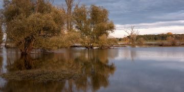 ‘Move family, pets and cars to safety’: Environment Agency issue flood warnings