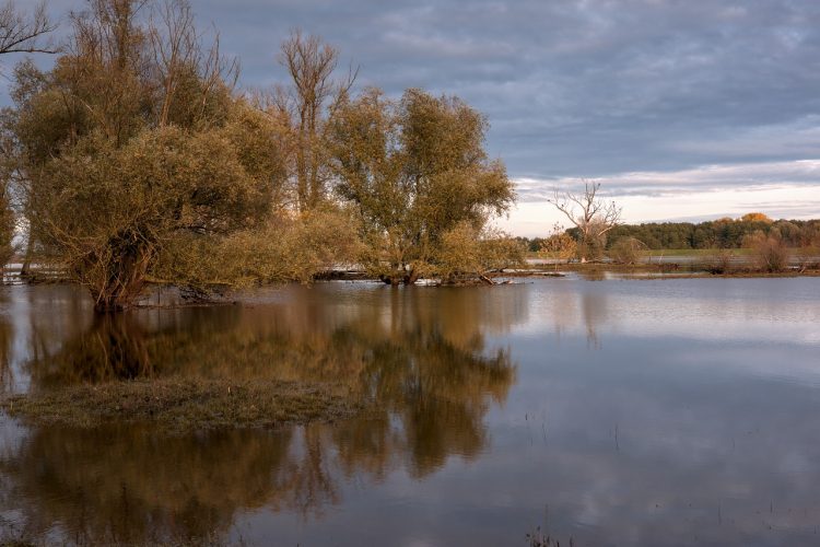 ‘Move family, pets and cars to safety’: Environment Agency issue flood warnings