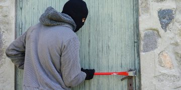 Two men charged with stealing £48,000 worth of dogs after arrests near Trowbridge