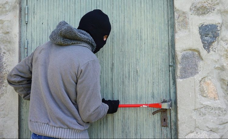 Two men charged with stealing £48,000 worth of dogs after arrests near Trowbridge