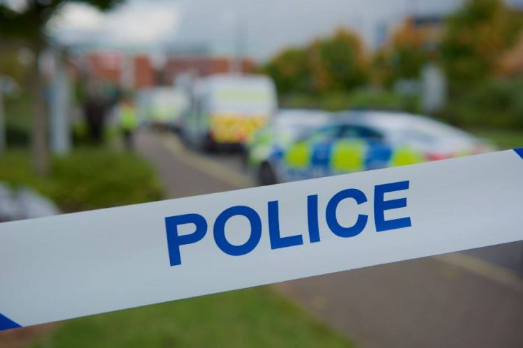 25-year-old woman mauled to death by family dog at home in Birmingham