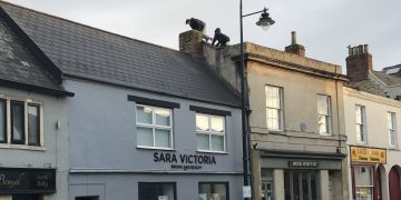 Police want to identify two youths spotted climbing across roofs in Calne
