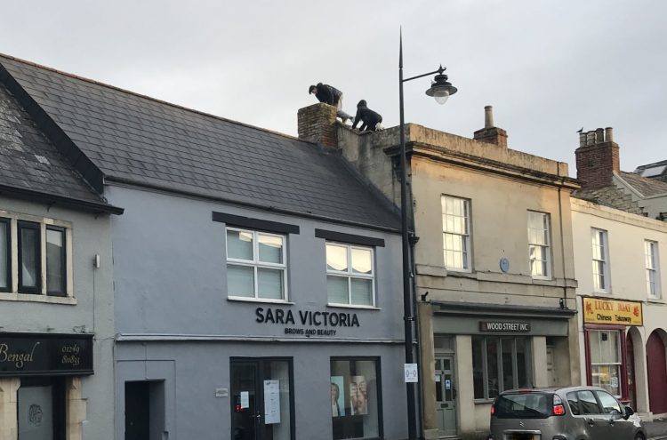 Police want to identify two youths spotted climbing across roofs in Calne