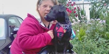 46-year-old convicted after Chippenham dog attack left woman injured in park