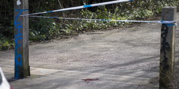 Injured man leaves mile-long blood trail after ‘mental health episode’ in Swindon