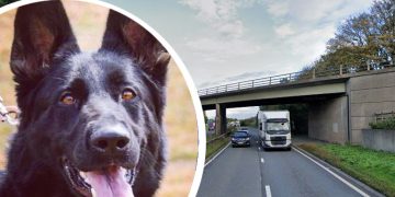 Teenagers arrested after traffic cones thrown from bridge smash lorry windscreens