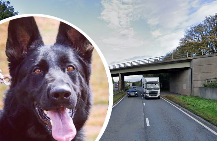 Teenagers arrested after traffic cones thrown from bridge smash lorry windscreens