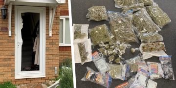 Three arrests as police seize £50,000 worth of cannabis in East Swindon raids