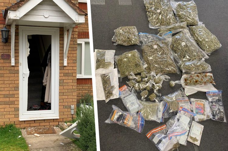 Three arrests as police seize £50,000 worth of cannabis in East Swindon raids