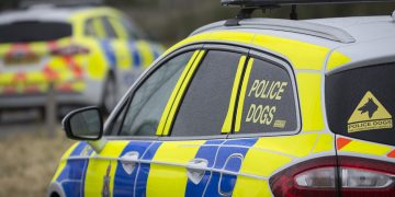 Four men arrested after they’re spotted jumping from back of lorry near M4