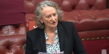 Green Party peer calls for 6pm curfew on ALL MEN in wake of Sarah Everard murder