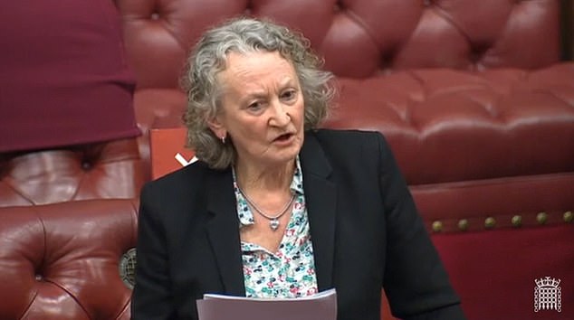 Green Party peer calls for 6pm curfew on ALL MEN in wake of Sarah Everard murder