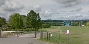 Man accused of serious sexual assault on stranger in field remanded in custody