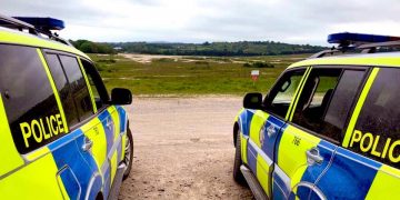 Stern warning issued after dog killed and walker injured in collisions